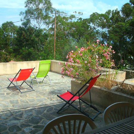 Location St Flo Apartment Saint-Florent  Bagian luar foto